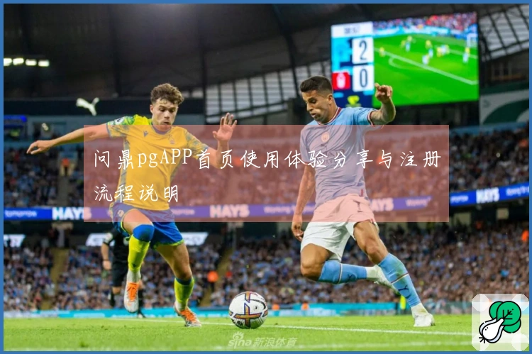 问鼎pgAPP首页使用体验分享与注册流程说明