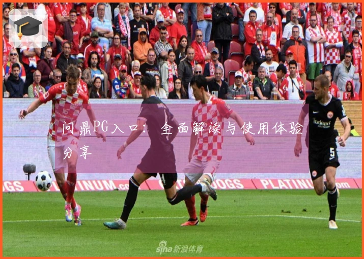 问鼎PG入口:全面解读与使用体验分享