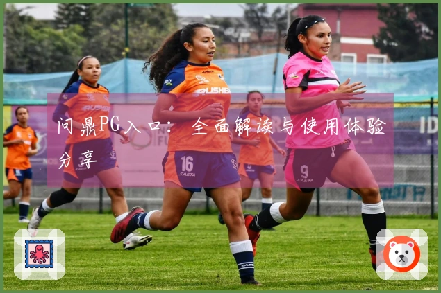 问鼎PG入口：全面解读与使用体验分享