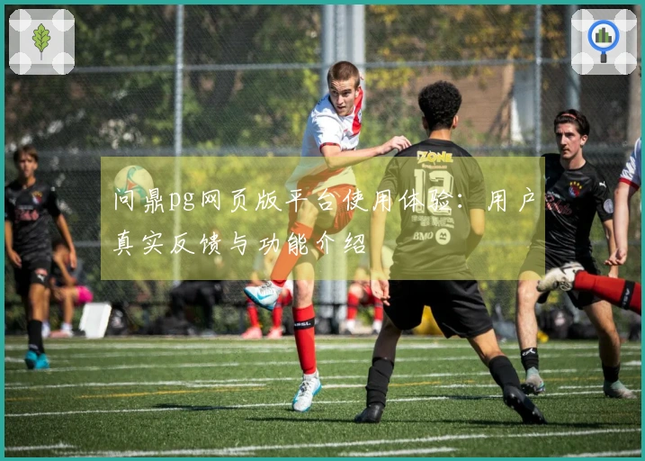 问鼎pg网页版平台使用体验：用户真实反馈与功能介绍