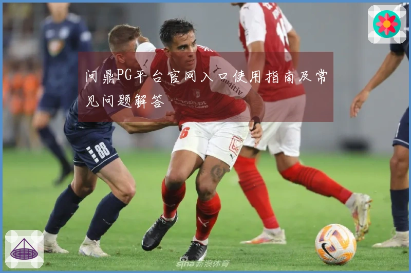 问鼎PG平台官网入口使用指南及常见问题解答